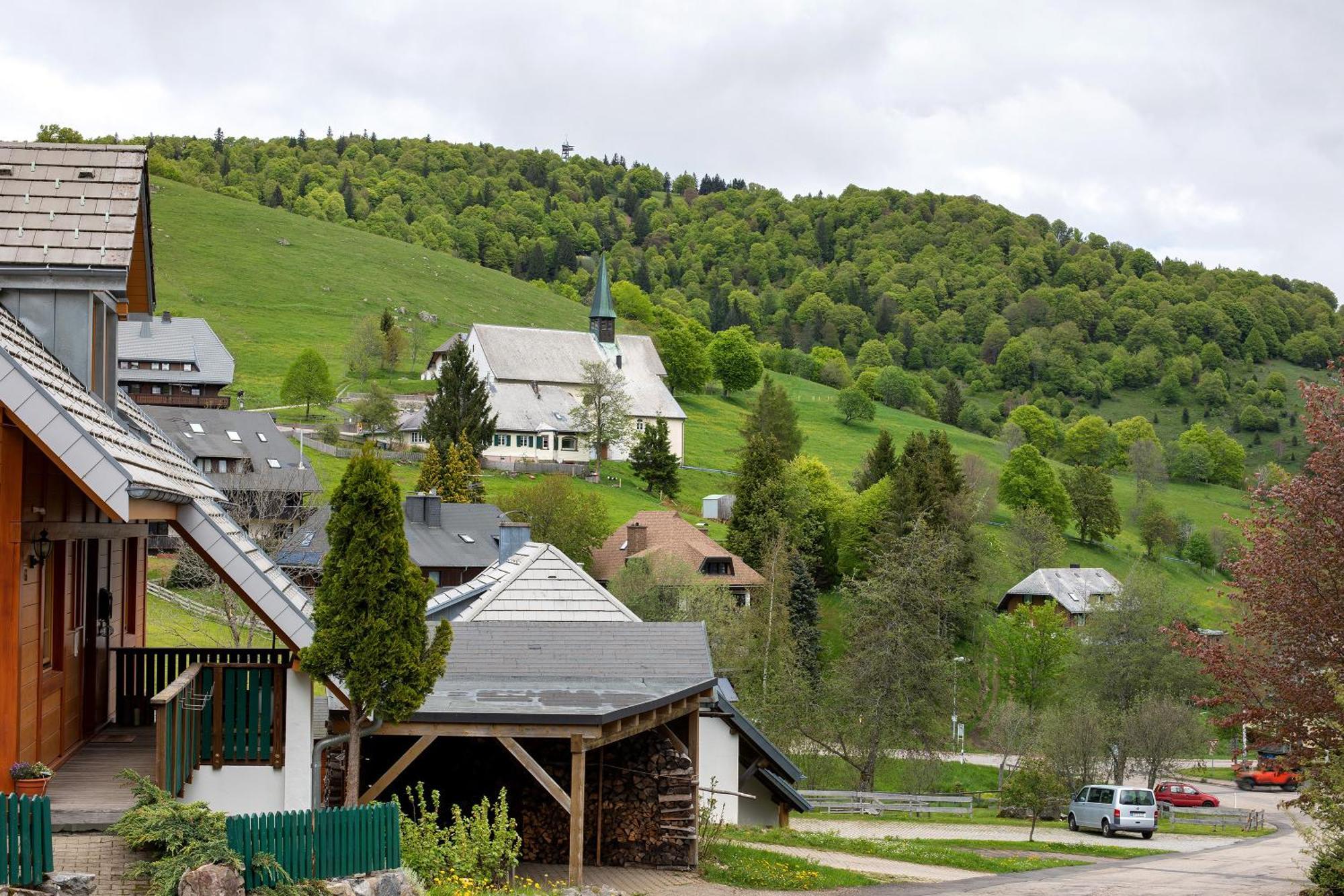 Skylodges *